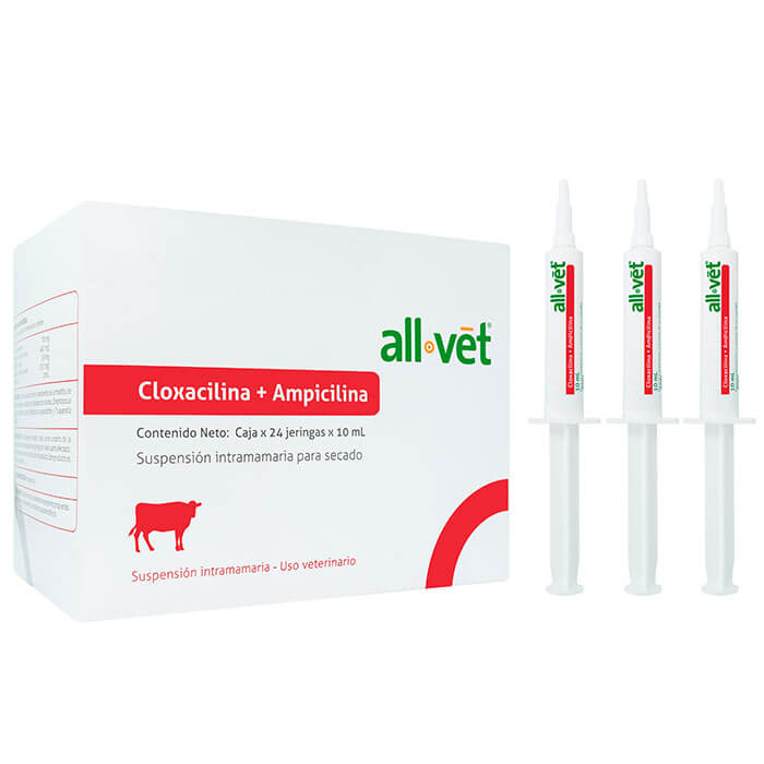 Cloxacilina-ampicilina-intramamaria-allvet