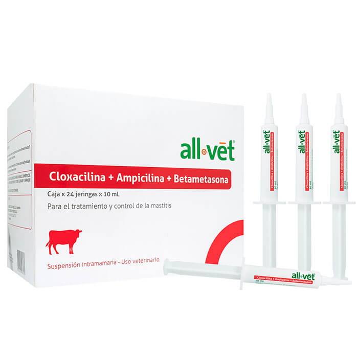 Cloxacilina-ampicilina-betametasona-intramamaria-allvet