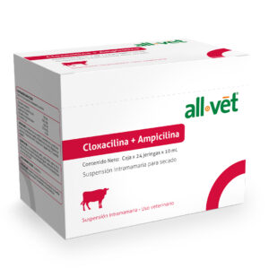 allvet-portafolio-productos-veterinarios_0018_CLOXACILINA + AMPICILINA